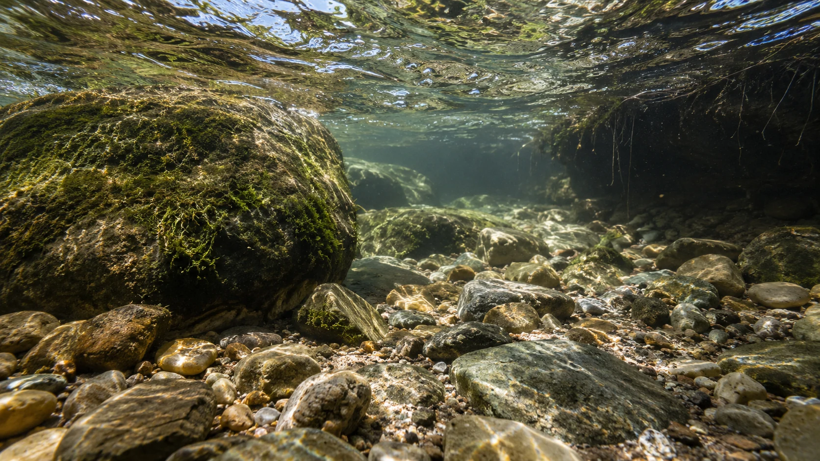 Klarer Bach unter Wasser mit großem moosigem Stein, Kiesgrund und dunklem Uferunterstand