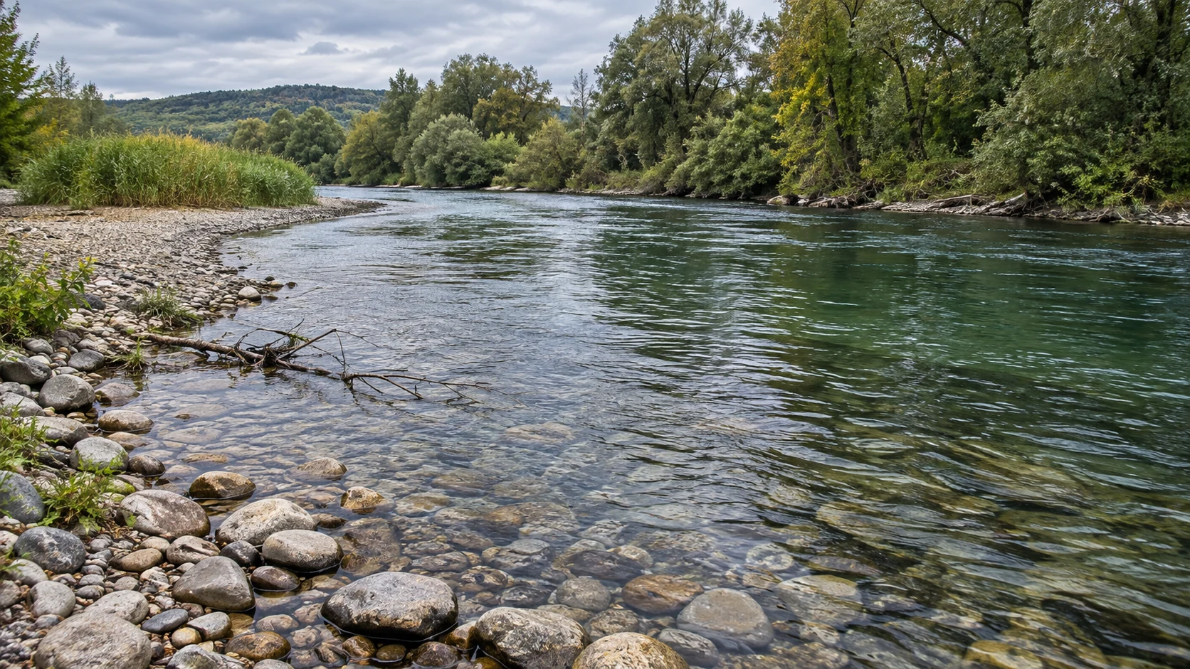 Kiesufer am Übergang zu dunklerem Wasser mit einem Ast am Ufersaum