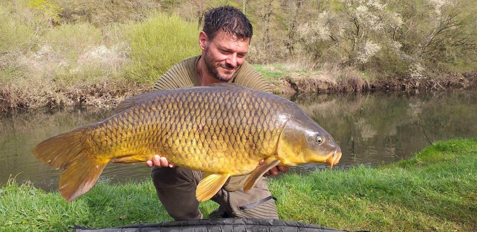 Marcus mit einem goldfarbenen Schuppenkarpfen über einer Abhakmatte