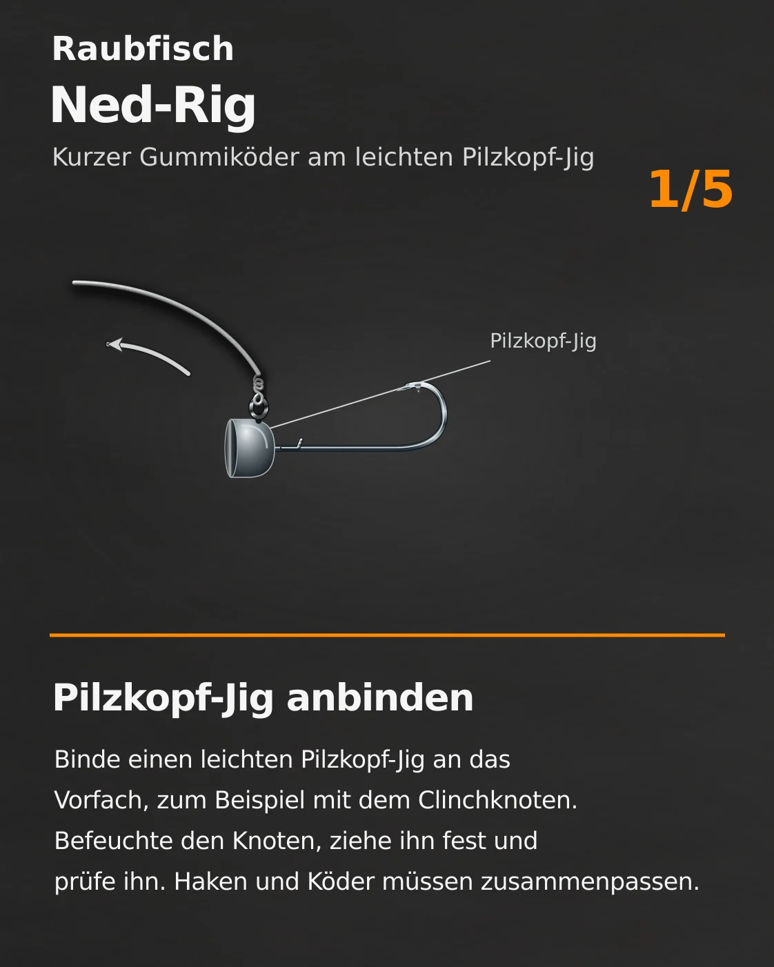 Ned-Rig: Originalanleitung Schritt 1 von 5 mit Beschriftung